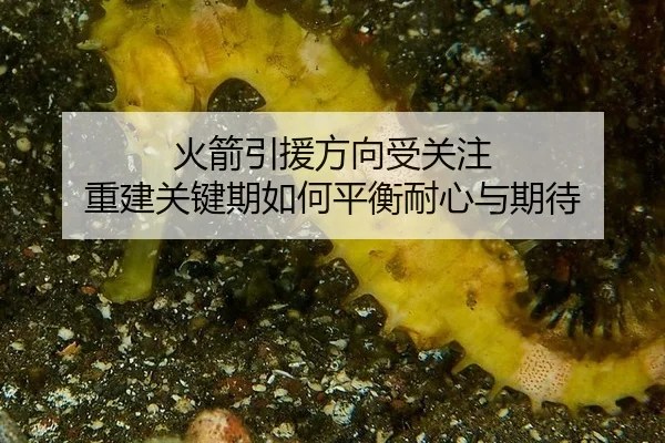 huo-jian-yin-yuan-fang-xiang-shou-guan-zhu-chong-jian-guan-jian-qi-ru-he-ping-heng-nai-xin-yu-qi-dai-2-170.jpg